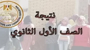 رابط الاستعلام الجاهز.. هل ظهرت نتائج الصف الأول الثانوي في جميع المحافظات؟
